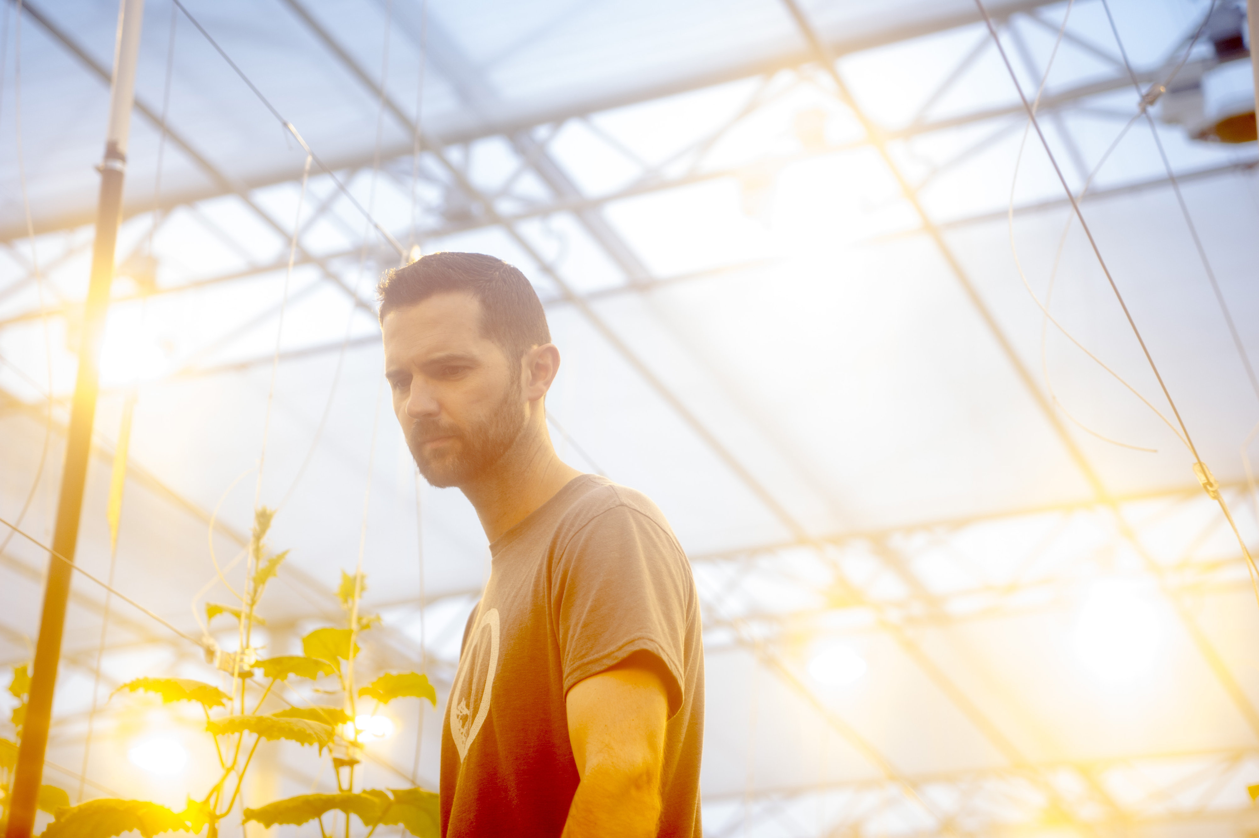Ryan Cramer of Alberta’s Big Marble Farms looks to more light as one way of boasting his operations competitive advantage.