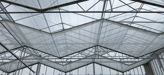 *该幕布目前只针对瓦赫宁恩大学‘冬光型’试验项目，暂时不进行销售。