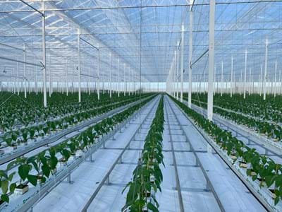 Zie hieronder hoe mooi het Luxous  energiescherm zich op laat vouwen :