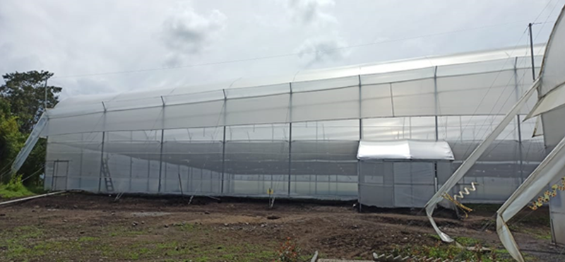 Invernadero de plantas madres con malla Xsect X-air