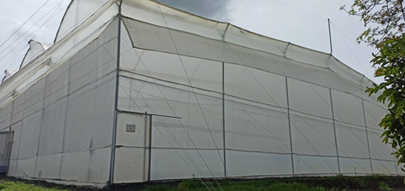 Greenhouse Core Area and Grandmothers before entry