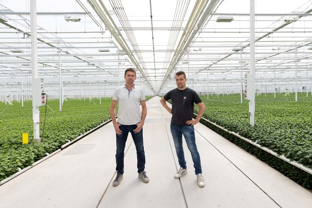 foto gemaakt door: Mario Bentvelsen