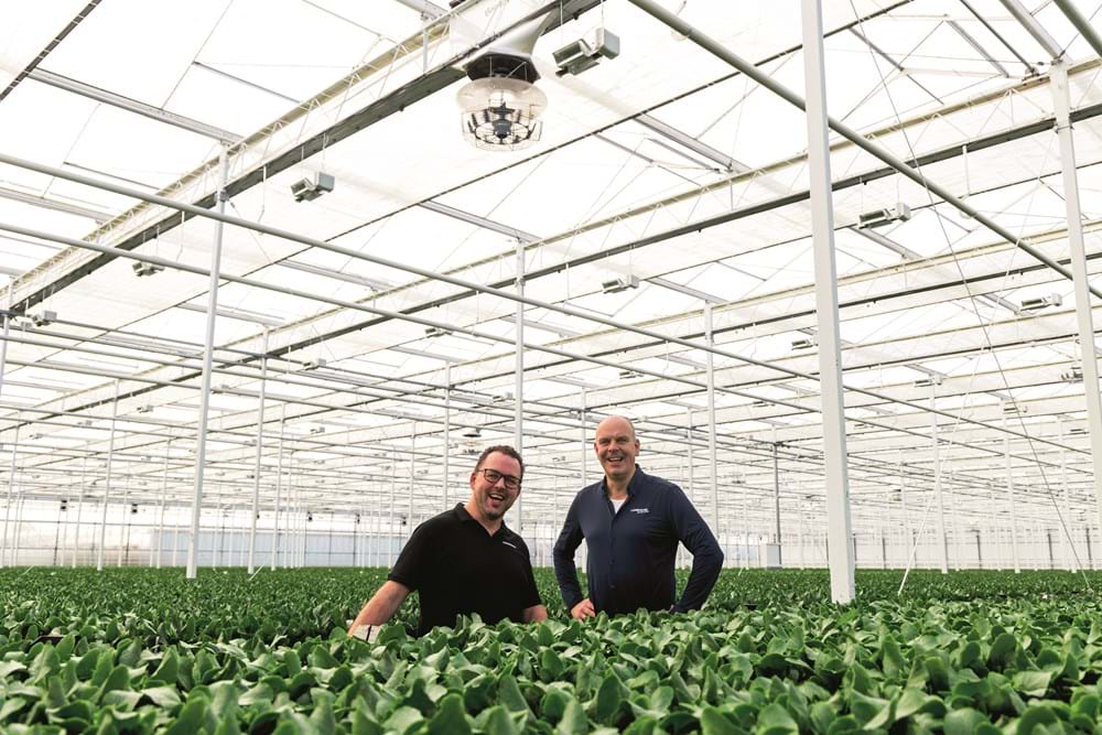 Dominique Blok & André Lankhaar