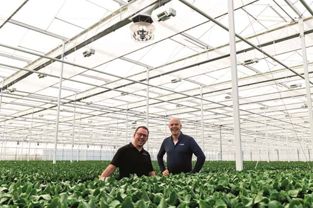 Dominique Blok, Svensson & André Lankhaar, Nursery Lankhaar