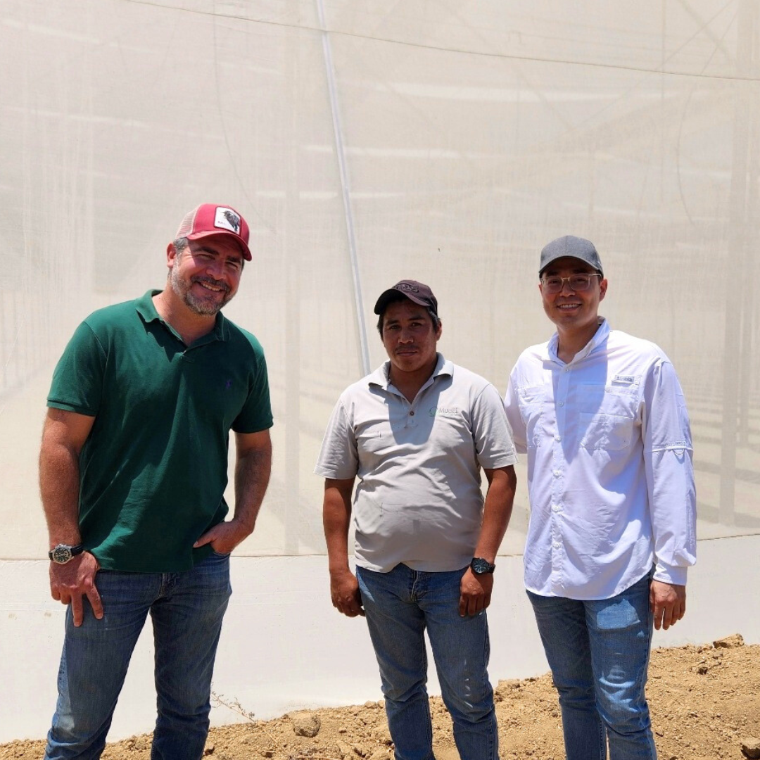 Samuel del Toro, José Morán & Héctor Parra at Gomalor