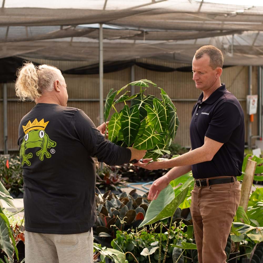 Nurseries rely on shade cloth to produce perfect results