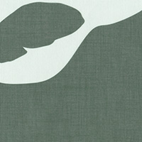 Flora 5587, 20x20 cm, photo