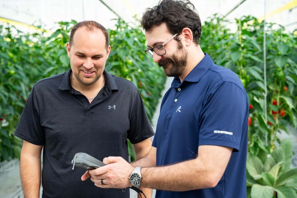 Svensson Climate Expert, Paul Arena, reviewing light measurements with grower Mike Cornelissen.