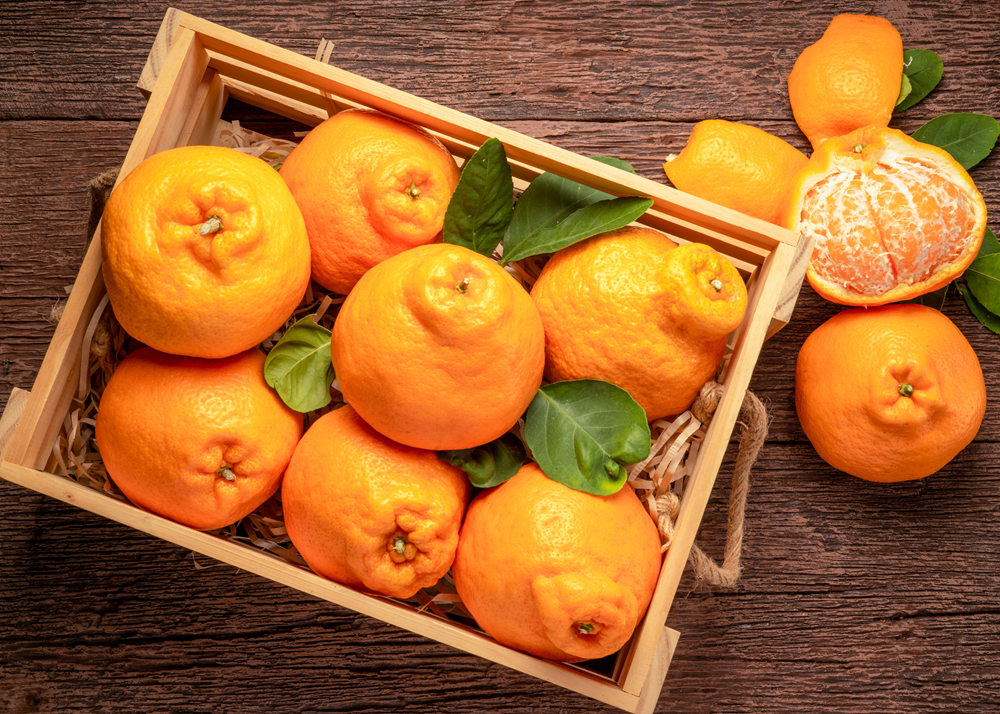 Shoppers are increasingly engaging with produce as an experience, seeking out unique fruits like the sumo citrus for the fun of discovery and sharing.
