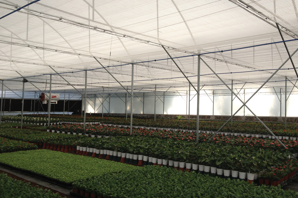 Flower grower Flor y Miel combines Harmony and Luxous screens to gain greater control over key climate factors like light, humidity, and temperature.