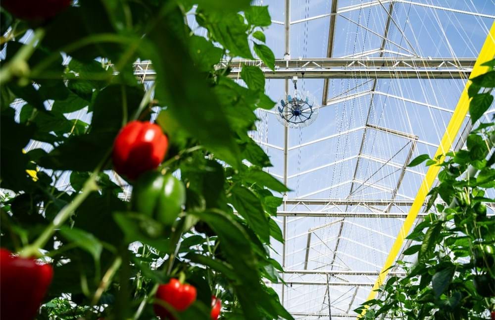 Twin Creeks Greenhouse in Ontario, Canada leverages double screens, ClimaFlow, and Energy Monitor to maximize their energy savings.