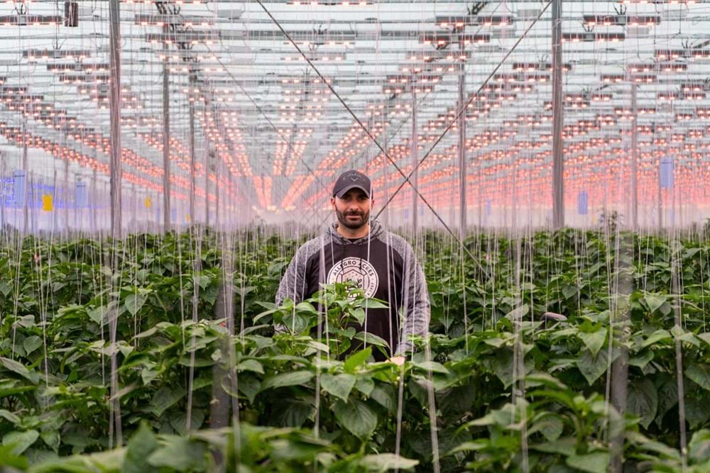 By using Luxous and Obscura, Gene Ingratta of Allegro Acres can save energy and manage light emissions, ensuring compliance with local regulations.