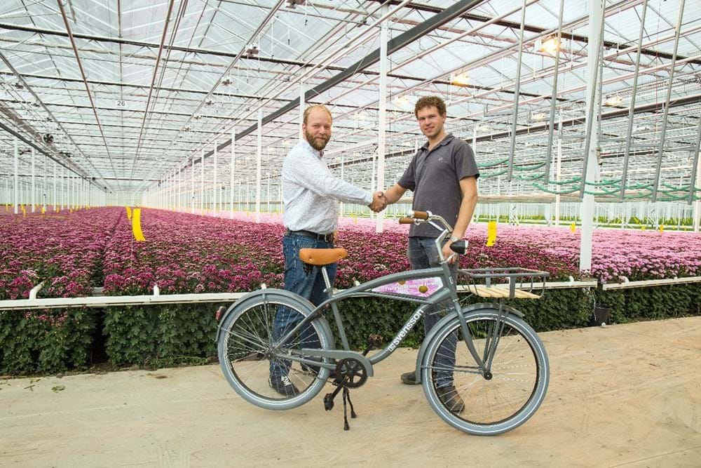 Svensson Climate Advisor Ton Habraken and Diamond Flowers Managing Director Koen Kreling stand beneath the soft, diffused light created by a combination of Harmony and Obscura screens.