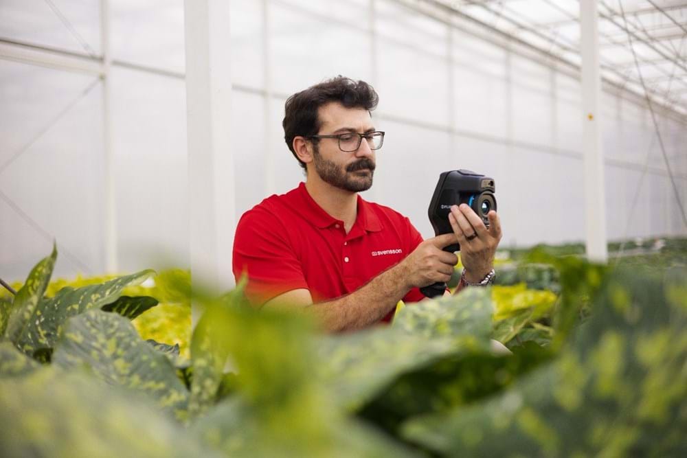 Svensson's team of Climate Advisors, including Paul Arena (pictured above), assist growers worldwide in tackling their unique challenges and customizing solutions to help them achieve their goals.