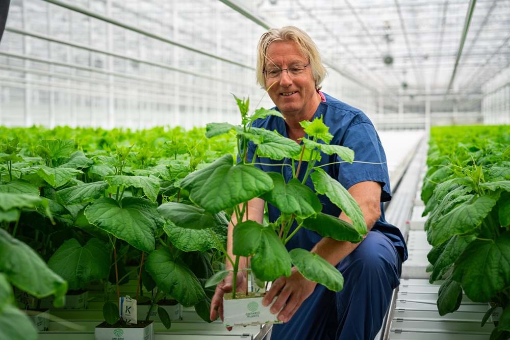 Pieter van Dijk, Chief Technology and Innovations Officer at Ontario Plants