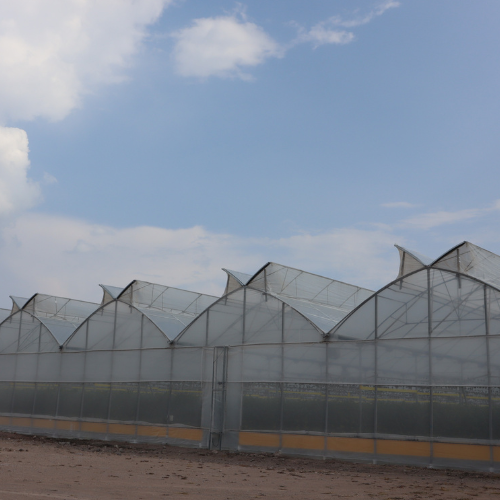 Santo Domingo, Guanajuato, México